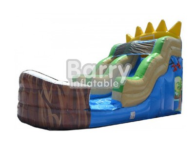 Professional Vendor Beautiful Inflatable Water Slides For Cheap BY-WS-043